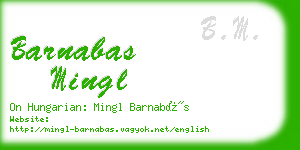 barnabas mingl business card